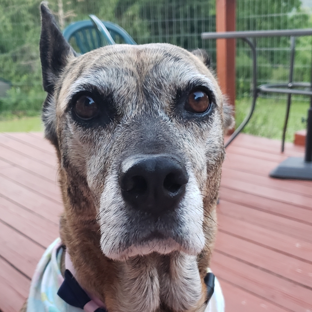 Meet your Posher, Sara.